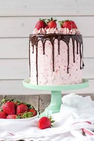 1001 Ideen Und Anleitungen Wie Sie Torten Verzieren Kuchen Und Torten Rezepte Torten Verzieren Tortendeko