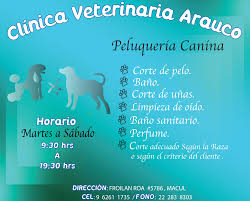 Clínica Veterinaria Arauco