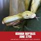 Iceman Reptiles