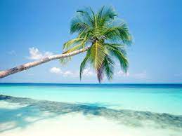 You may easily purchase this image i2127264. Tropical Island Wallpapers Top Free Tropical Island Backgrounds Wallpaperaccess
