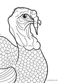 You might also like to check out my collection of happy thanksgiving wishes if you're stuck for what to write in a card or message. Free Printable Turkey Coloring Pages For Kids