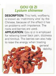 Pin On Herbal Book Of Shadows 2