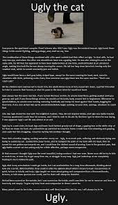 Pin On Viral Pet Stories