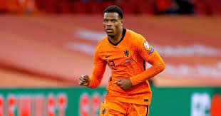 View the player profile of denzel dumfries (psv) on flashscore.com. S4jtaxc X Ypum