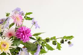 @gigis_journal food is a great thing for beginners to draw because you can make it as simple or complicated as you like. Diy Floral Arrangements For Beginners