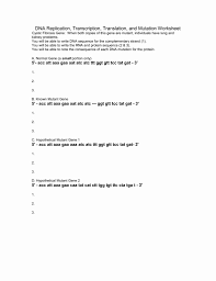 What is the primary purpose of transcription and translation? Dna Replication Review Worksheet