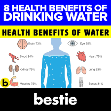 Your body is composed of approximately 60 percent water. Bestie 8 Health Benefits Of Drinking Water Facebook
