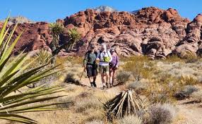 Trending Articles EMRA