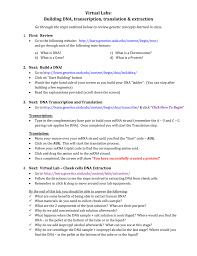 Chargaffs dna worksheet and answer key biology inquiries by martin shields open dna replication and protein synthesis virtual lab sheet dna replication. Dna Extraction Virtual Lab Worksheet Answers Worksheet List