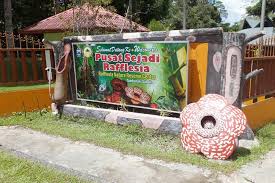 Bot akan menyusuri pulau manukan, pulau mamutik dan pulau sapi yang sangat indah, berhenti snorkelling dan boleh aktiviti pantai ; Spacetraveller Activity Tambunan Rafflesia Rainforest