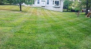Maybe you would like to learn more about one of these? Lawn Overseeding St Louis Mo Schedule An Estimate