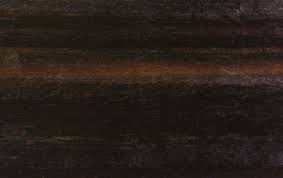 Image result for Diospyros crassiflora