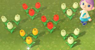 Maybe you would like to learn more about one of these? Acnh Tulip Breeding Guide How To Get All Color Variations Animal Crossing Gamewith