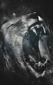 Black And White Lion Wallpaper Iphone Pin By Monkey D Luffy On Wallpaper In 2020 Lion Artwork Lion Wallpaper 4k Wallpaper Iphone