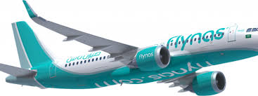 حجز طيران ناس افضل طيران اقتصادي flight logo online tickets living room partition design