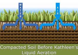 From lawn pest control to preventing bugs from invading your home, lawn doctor has your back. Liquid Aeration Improve Your Lawn With Our Service In Csra Kathleen S Lawn Ornamental Pest Control