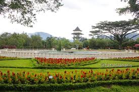 Tempat ini cocok untuk liburan keluarga apalagi buat pasangan yang baru menikah. Keindahan Hamparan Bunga Di Taman Bunga Nusantara Fatahilaharis