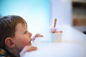 GO NZ: Memories of family holidays around New Zealand