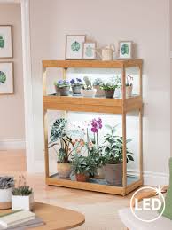 Pin By Katie Leggio On Apartment Plant Stand Indoor Bamboo Plants Diy Plant Stand