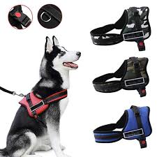 Nightly rates for cheap hotels in sri lanka are starting from £16 this weekend. Dog Supplies For Sale Dog Supplies Price In Sri Lanka Daraz Lk