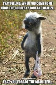 Feels Bad Man Funny Animal Jokes Animal Jokes Funny Animal Faces