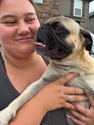 Best dogs for a small homestead!?