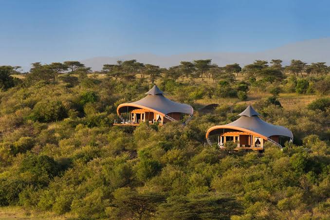 Kenya Safari Camps 2026: Budget to Luxury, What to Expect