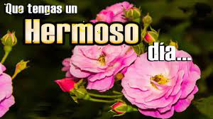 Que tengas un hermoso dia. Que Tengas Un Hermoso Dia Youtube