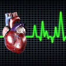 Resultado de imagen para Trabajar demasiado podría hacer que el corazón tenga un ritmo irregular
