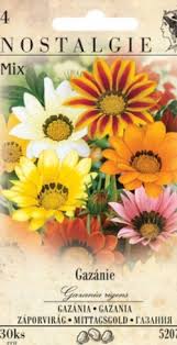 Image result for foto Gazánie