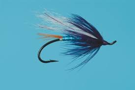 Larimer's Fierce Allegience