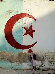 Algeria Love Algerian Flag Algeria Algerian
