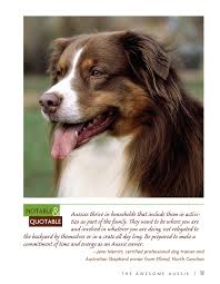 Describe exactly what you're looking for in a australian shepherd, and ask for assistance in selecting a puppy. Australian Shepherd Dog Companionhouse Books Aussie Origins Care House Training Health Concerns Bad Behavior Solutions Activities True Stories From Owners And More Smart Owner S Guide Cox Evick Christina 9781593787929 Amazon Com Books