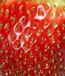 Strawberry Texture Fraise Textures