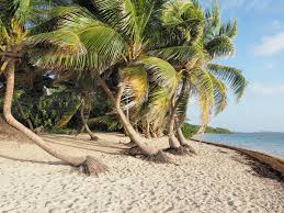 Beste strandhotels in martinique bei tripadvisor: Martinique Reisen Reiseinformationen Karibik Eu