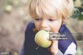 377 Annie Apple Stock Photos, High-Res Pictures, and Images