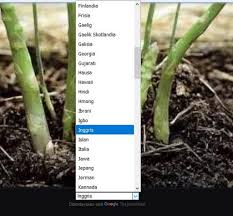 Asparagus Cultivation Download Apk Free For Android Apktume Com