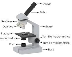 Imagen de Tornillos macrométrico y micrométrico del microscopio