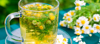 Jenis bunga yang masih satu saudara dengan bunga aster ini sering dijadikan jika tujuan anda mengonsumsi chamomile untuk relaksasi atau sebagai alternatif minuman selain teh yang biasanya, maka hal itu tidak menjadi. Manfaat Teh Chamomile Tanaman Obat Semua Tentang Kesehatan Anda