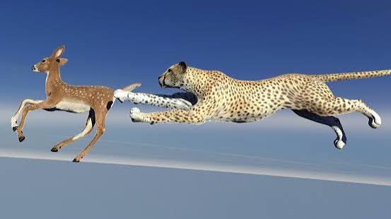 Cheetah Is Hunting An Antelope Stock Photo - Download Image Now - 3D Render, Africa, Animal - iStock