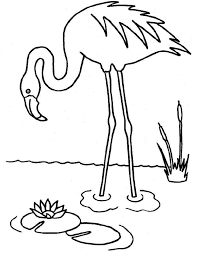 Dessin Flamand Rose Flamant Rose Dessin Flamand Rose Dessin Flamant Rose