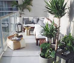 Tanaman terbaik untuk menciptakan privasi: 5 Tips Membuat Balkon Rumah Jadi Area Santai Yang Instagramable