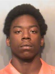 2 arrested in January home invasion in North English