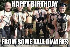A dog wearing a party hat sitting at a table with a piece of birthday cake. Dwarfs Memes Gifs Imgflip