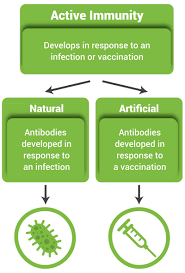 Active Immunity Nih