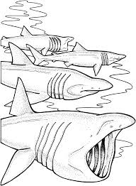 Shark jaws coloring page download. Movie Poster Jaws Coloring Pages Coloring Pages Color Jaws Movie Coloring Library