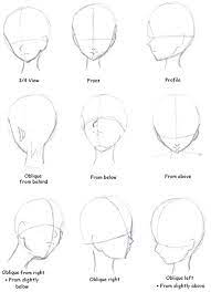 Head Anatomy In Drawing References And Resources