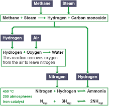 Science Junkie Why The Haber Process Saved Everyone In The