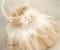 Rustic Diy Flower Girl Basket
