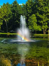 The Search for The Fountain of Youth — Facts-Chology